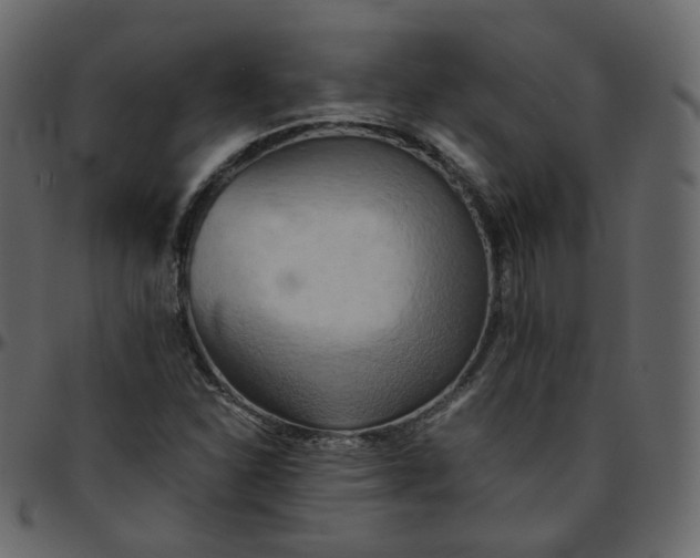 X0000095691310200801221239