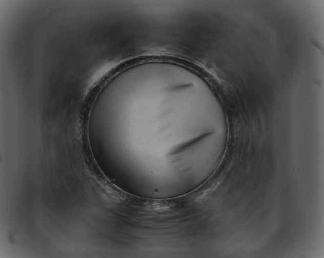 X0000095691311200801221239