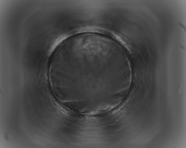 X0000095691312200801221239