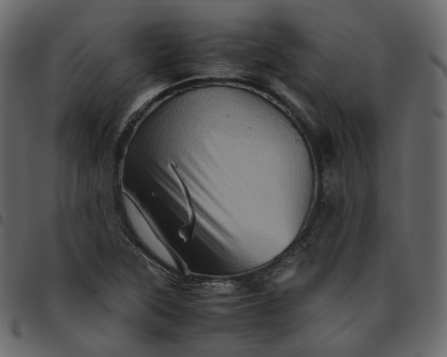 X0000095691315200801221239