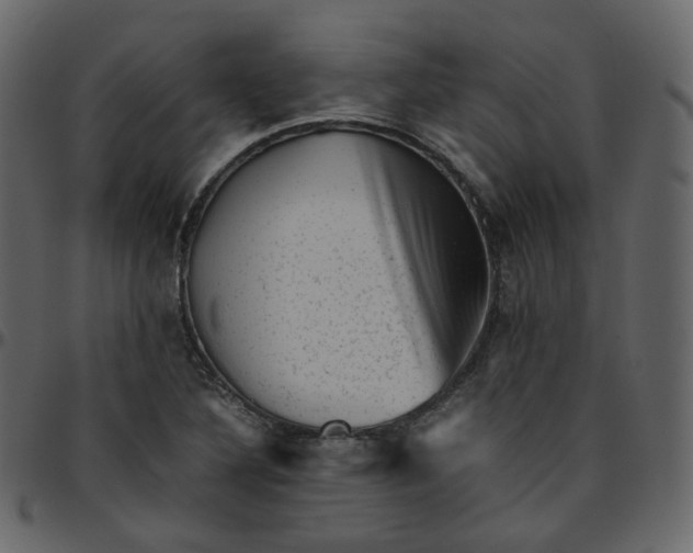 X0000095691316200801221239