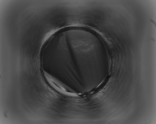 X0000095691319200801221239