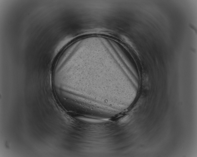 X0000095691320200801221239