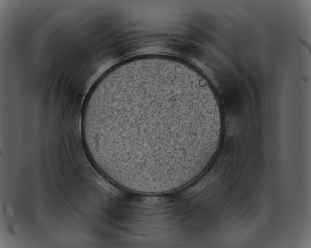 X0000095691322200801221239