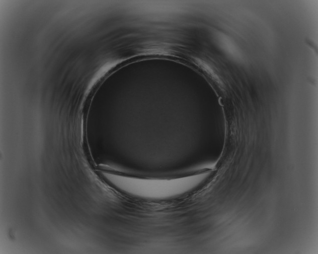 X0000095691323200801221239