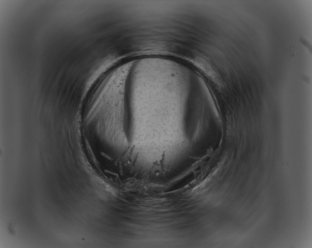 X0000095691325200801221239