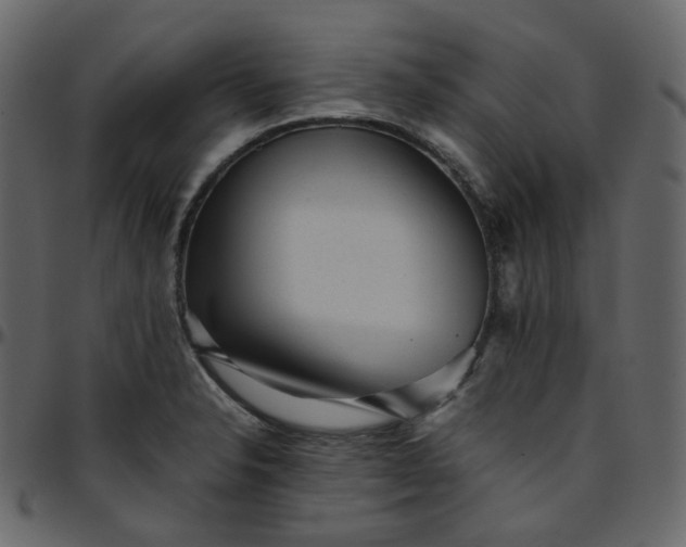 X0000095691326200801221239