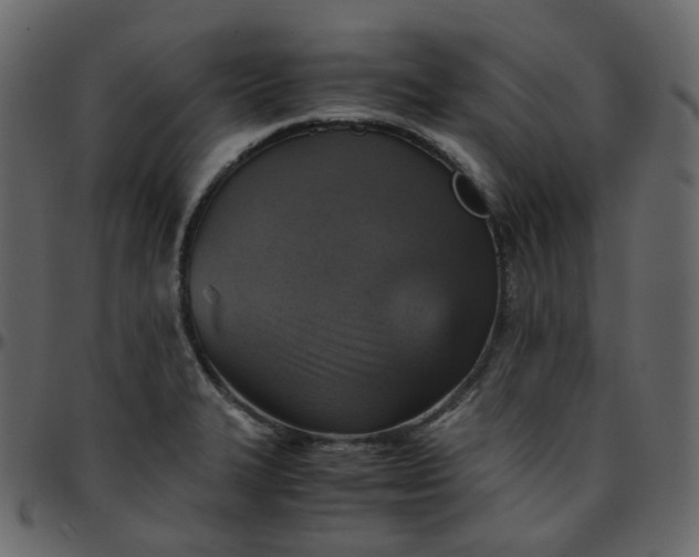 X0000095691327200801221239