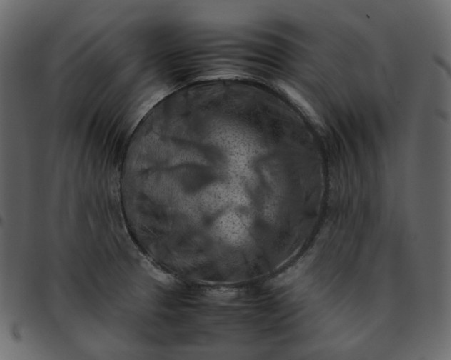 X0000095691329200801221239