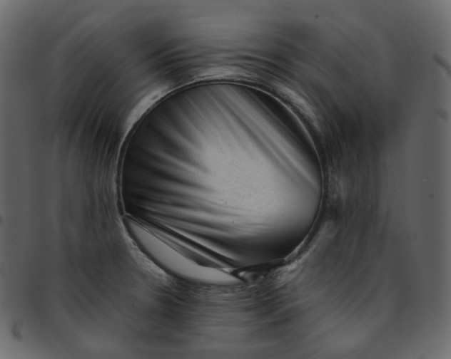 X0000095691330200801221239