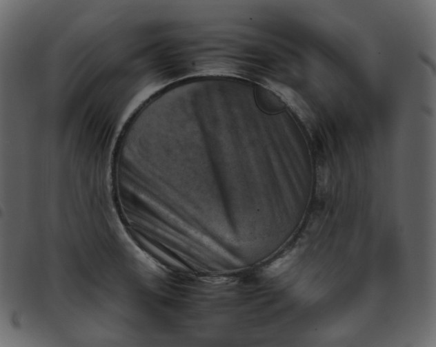 X0000095691331200801221239