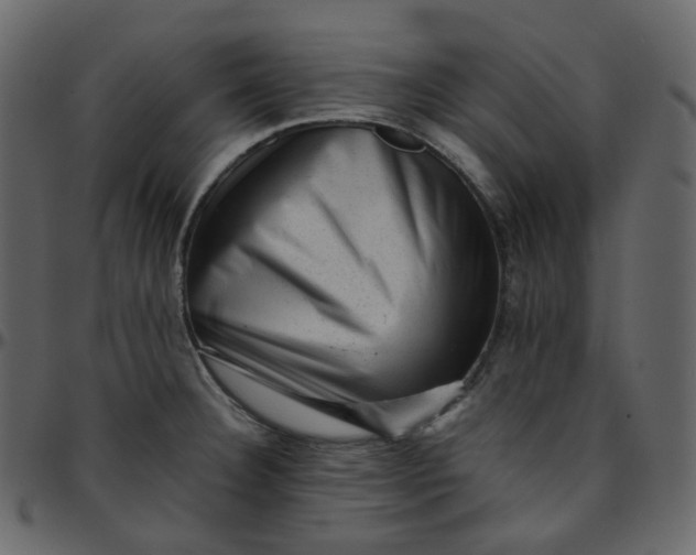 X0000095691332200801221239