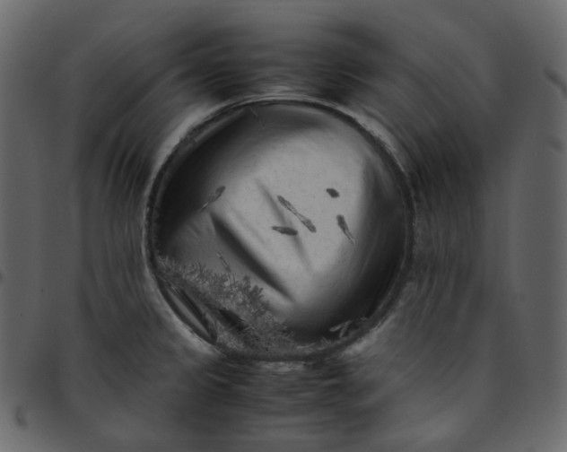 X0000095691333200801221239