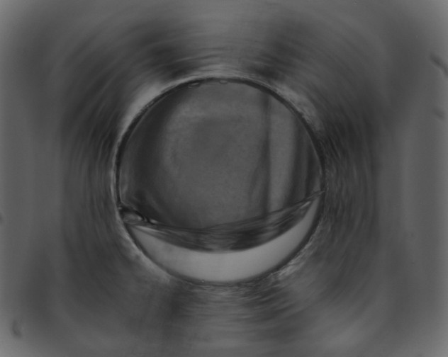 X0000095691334200801221239