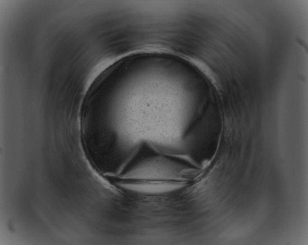 X0000095691335200801221239