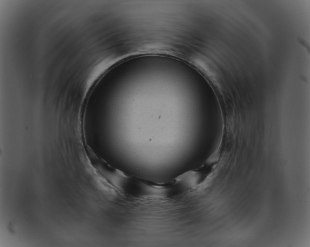 X0000095691336200801221239