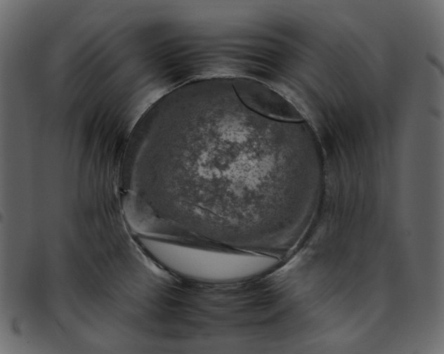 X0000095691337200801221239