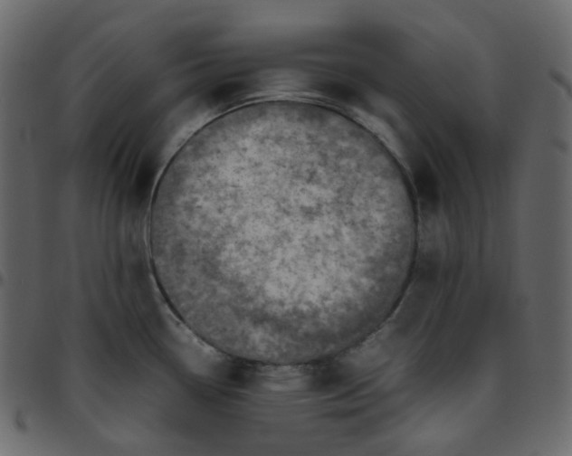 X0000095691338200801221239