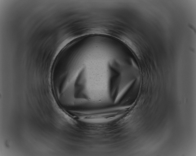 X0000095691339200801221239