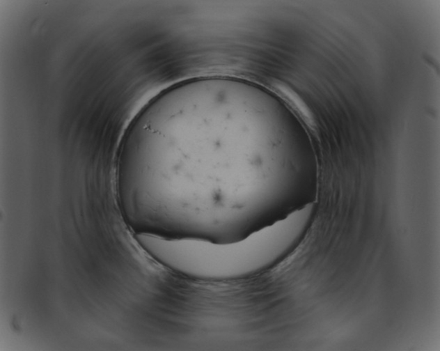 X0000095691340200801221239