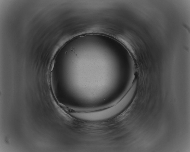 X0000095691342200801221239