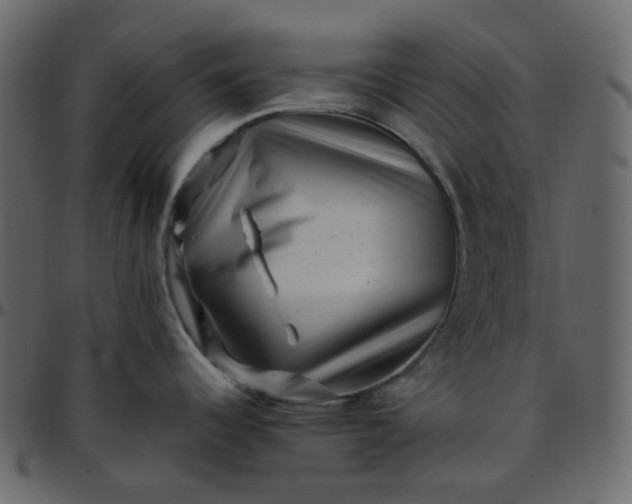 X0000095691344200801221239