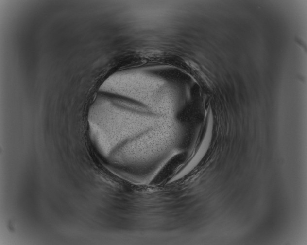 X0000095691345200801221239