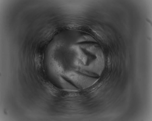 X0000095691346200801221239