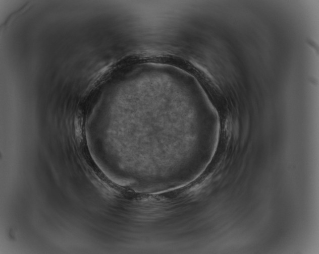 X0000095691348200801221239