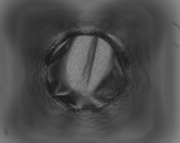 X0000095691349200801221239