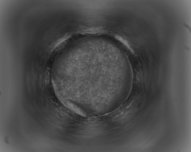 X0000095691350200801221239