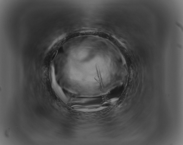 X0000095691351200801221239