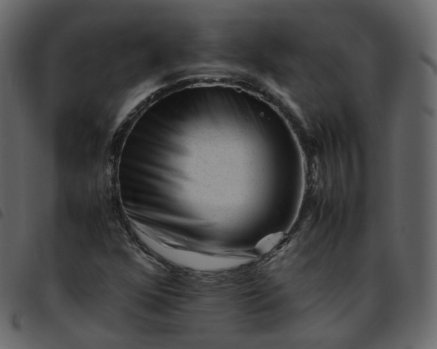 X0000095691352200801221239