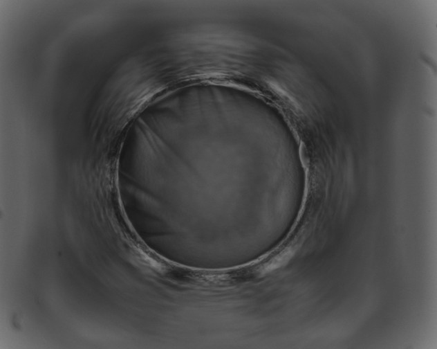 X0000095691353200801221239