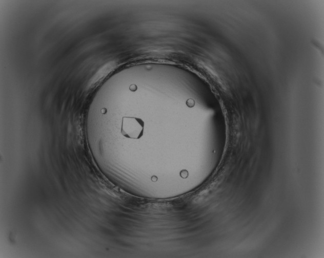 X0000095691354200801221239