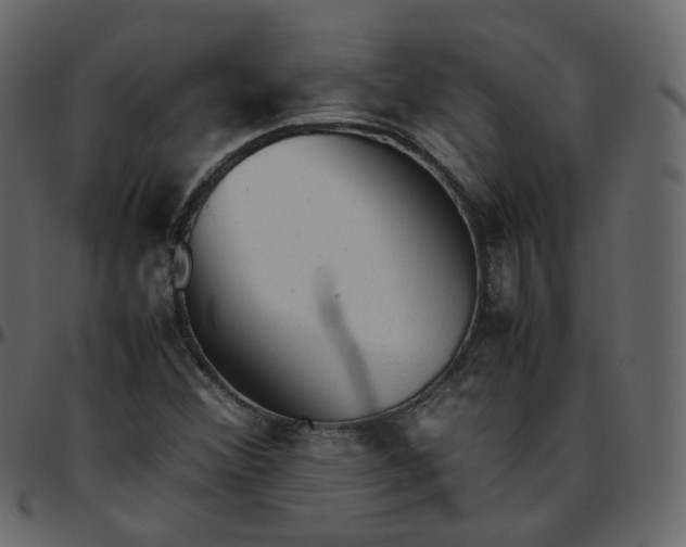 X0000095691356200801221239