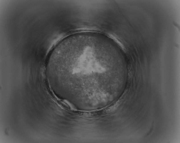 X0000095691357200801221239