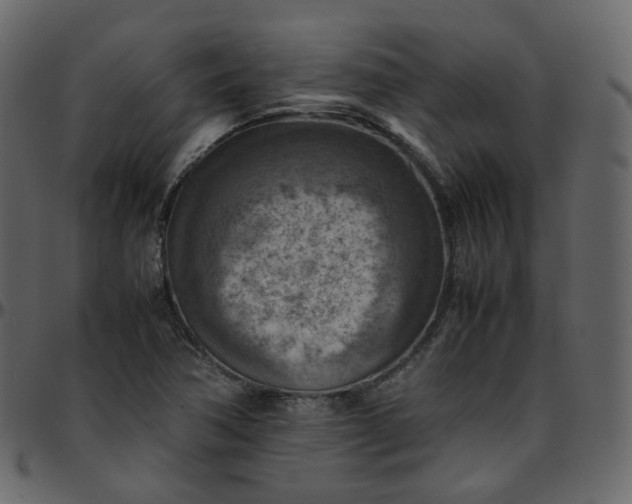 X0000095691362200801221238