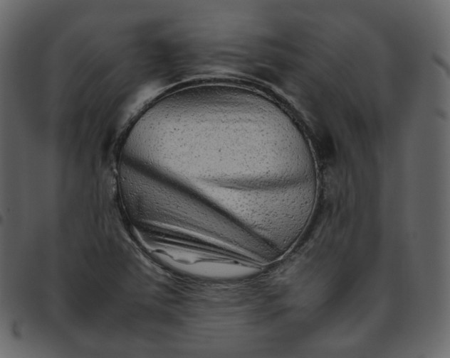 X0000095691363200801221238