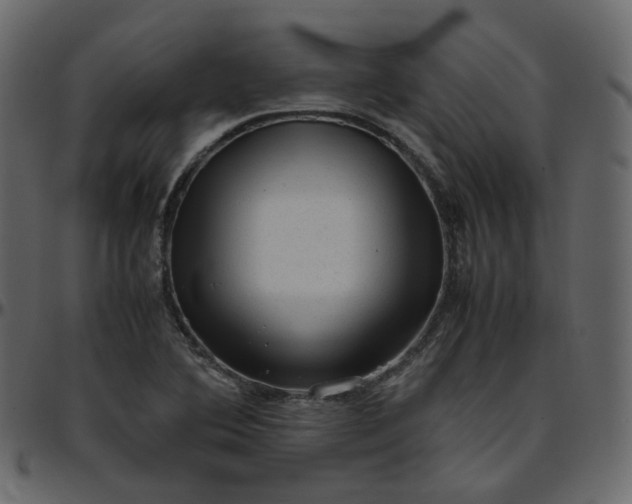 X0000095691364200801221238