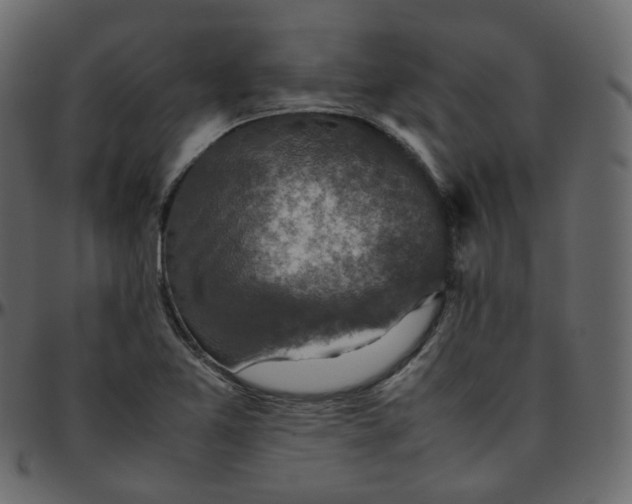 X0000095691365200801221238