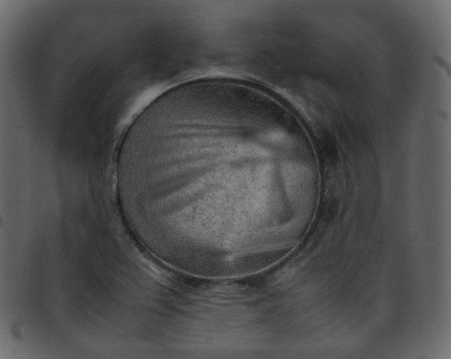 X0000095691367200801221238