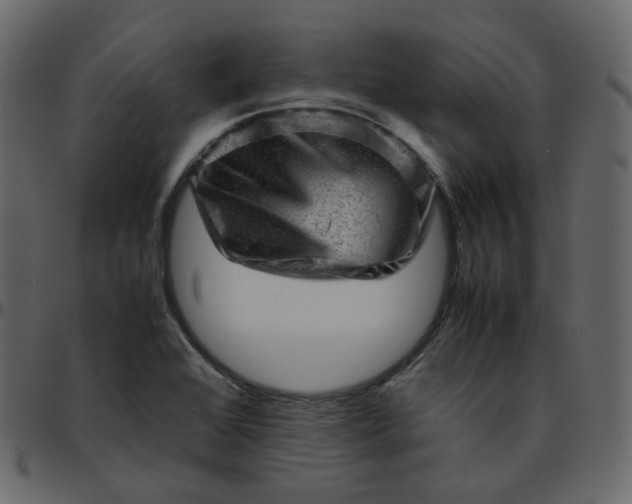 X0000095691368200801221238