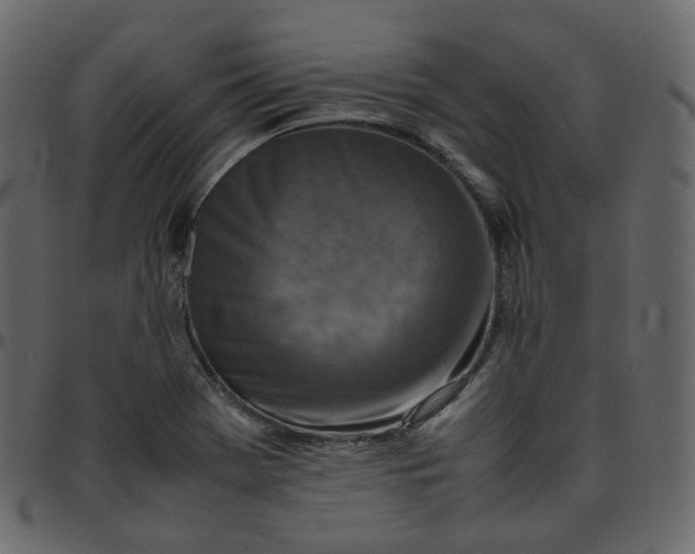 X0000095691369200801221238