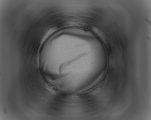 X0000095691370200801221238