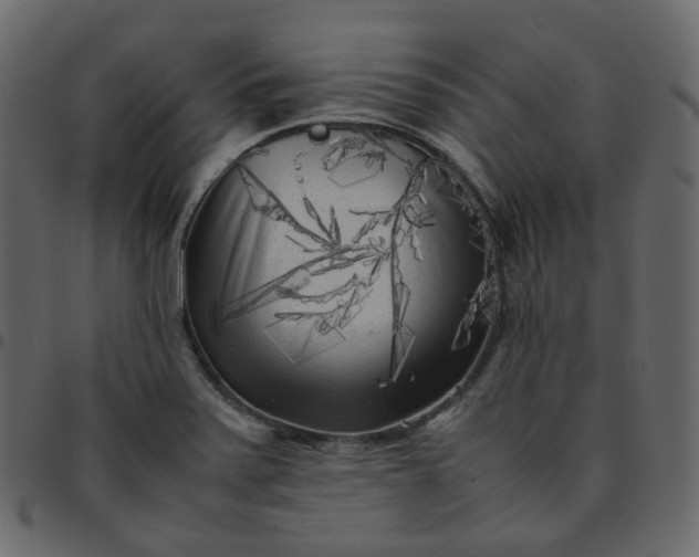 X0000095691371200801221238