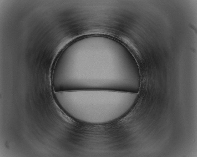 X0000095691372200801221238