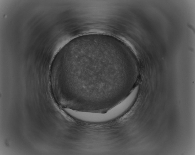 X0000095691373200801221238