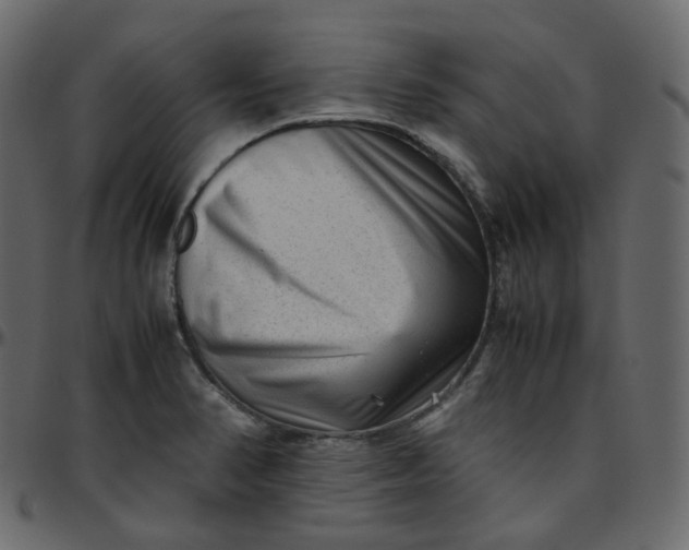 X0000095691374200801221238