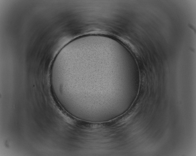 X0000095691375200801221238